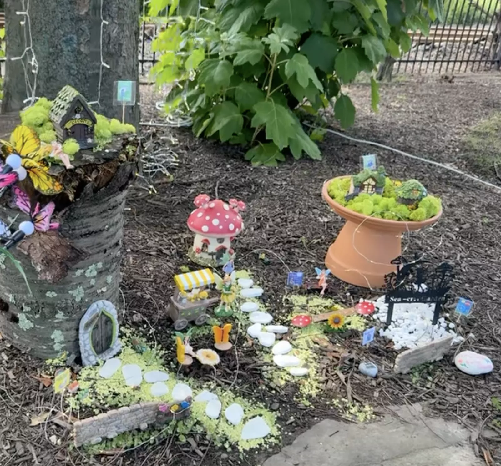 fairy garden