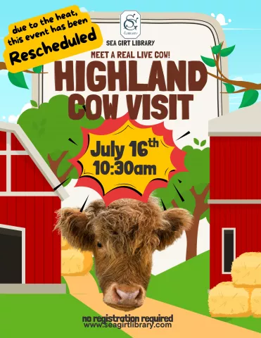 Highland Cow Visit